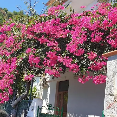 Grace Seaview アマルフィ