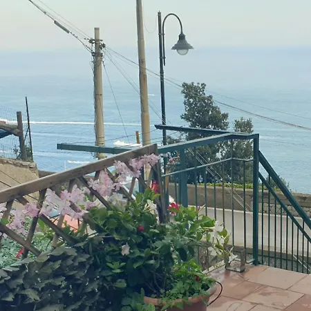 Apartment Grace Seaview Jacuzzi