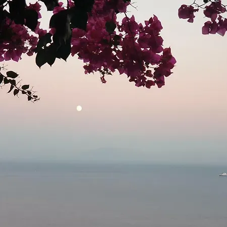 Grace Seaview *