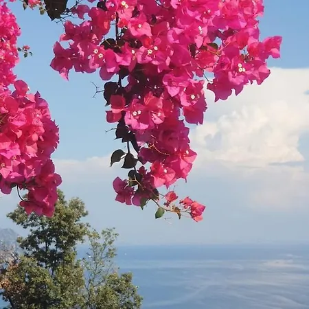 Апартаменти Grace Seaview