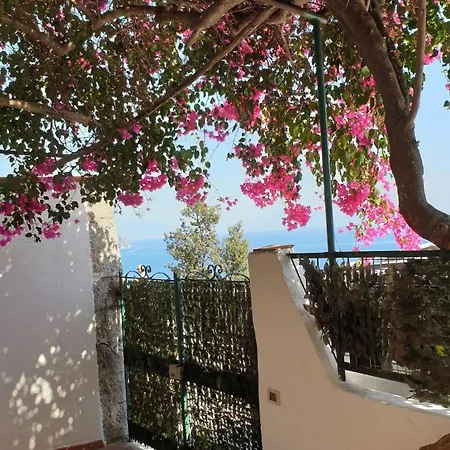 Апартаменти Grace Seaview *