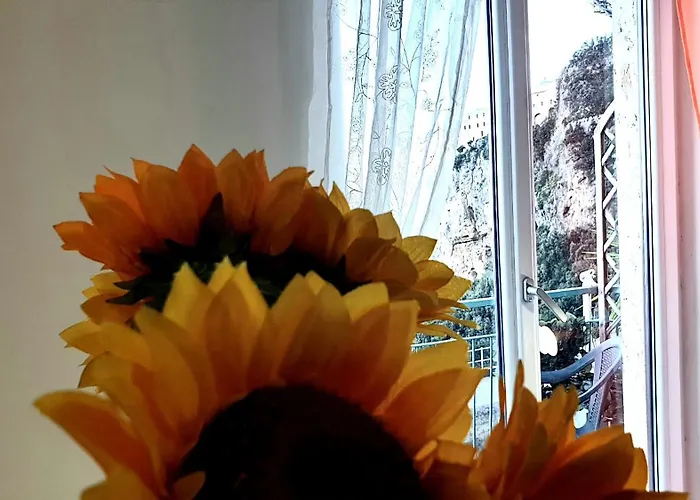 Grace Seaview 公寓 *